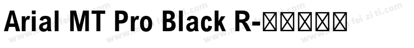 Arial MT Pro Black R字体转换